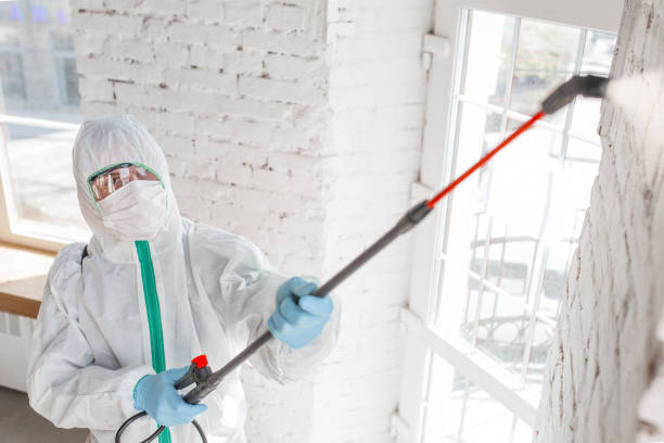 Best Emergency Mold Remediation  in Bethlehem, PA