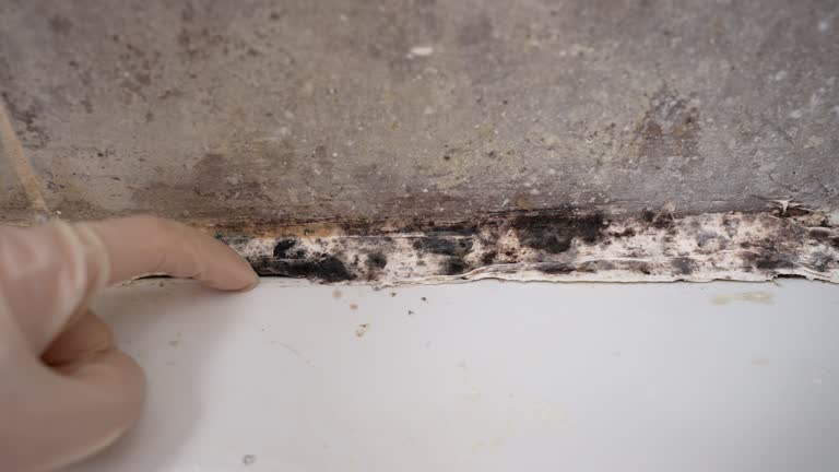 Best Residential Mold Inspection & Testing  in Bethlehem, PA